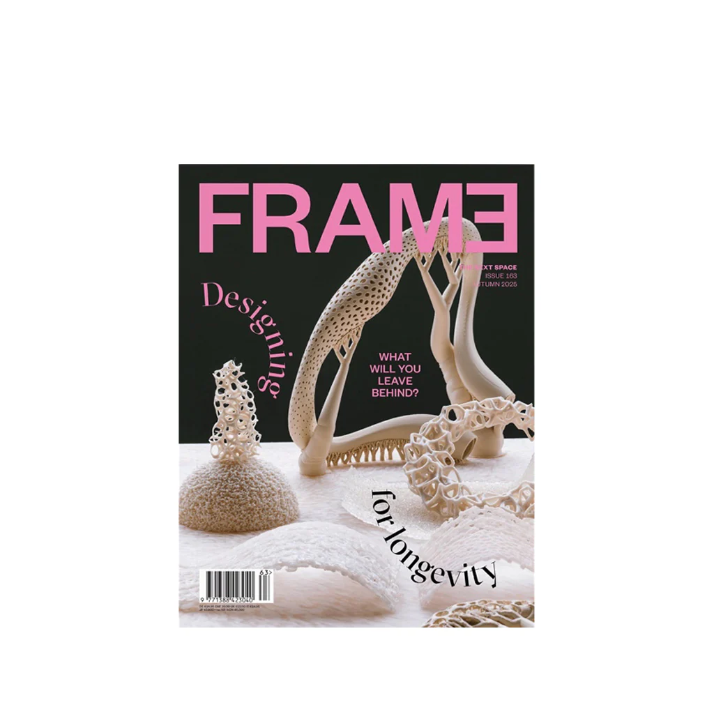 FRAME #163